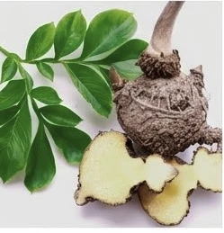 Maqui Berry Ingredient